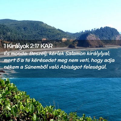 Picture 02 - 1 Királyok 2:17 KAR - És monda: Beszélj, kérlek Salamon királylyal; - Bible Verse Picture