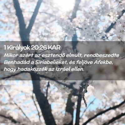 Picture 02 - 1 Királyok 20:26 KAR - Mikor azért az esztendõ elmult, rendbeszedte - Bible Verse Picture