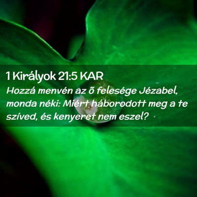 Picture 02 - 1 Királyok 21:5 KAR - Hozzá menvén az õ felesége Jézabel, monda - Bible Verse Picture