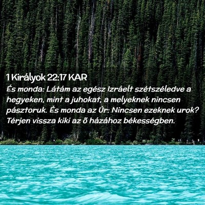 Picture 02 - 1 Királyok 22:17 KAR - És monda: Látám az egész Izráelt - Bible Verse Picture