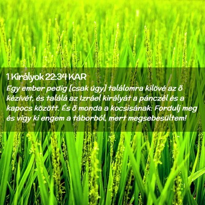 Picture 02 - 1 Királyok 22:34 KAR - Egy ember pedig [csak úgy] találomra kilövé - Bible Verse Picture