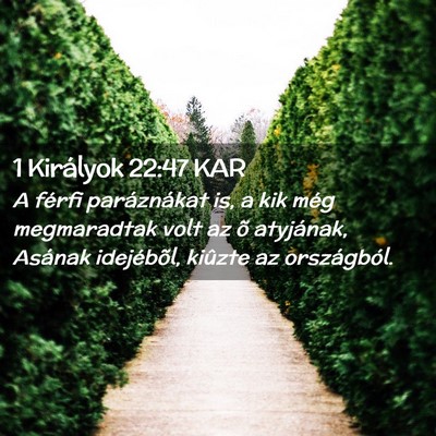 Picture 02 - 1 Királyok 22:47 KAR - A férfi paráznákat is, a kik még megmaradtak - Bible Verse Picture