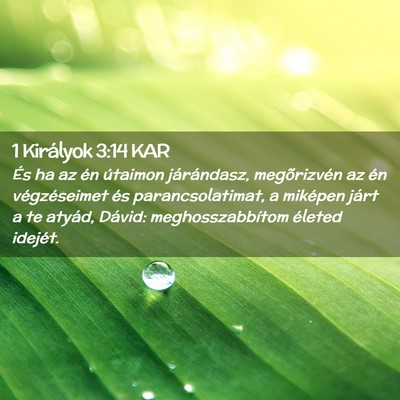 Picture 02 - 1 Királyok 3:14 KAR - És ha az én útaimon járándasz, megõrizvén - Bible Verse Picture