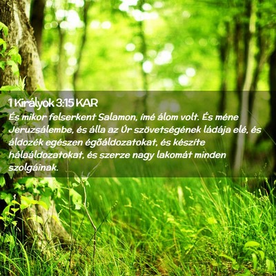 Picture 02 - 1 Királyok 3:15 KAR - És mikor felserkent Salamon, ímé álom volt. - Bible Verse Picture