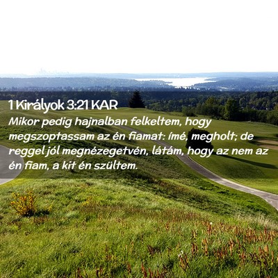 Picture 02 - 1 Királyok 3:21 KAR - Mikor pedig hajnalban felkeltem, hogy - Bible Verse Picture