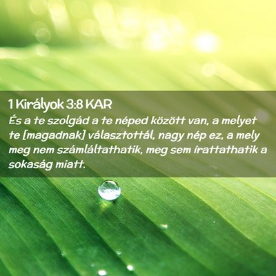 Picture 02 - 1 Királyok 3:8 KAR - És a te szolgád a te néped között van, a - Bible Verse Picture