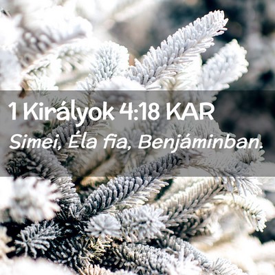 Picture 02 - 1 Királyok 4:18 KAR - Simei, Éla fia, - Bible Verse Picture