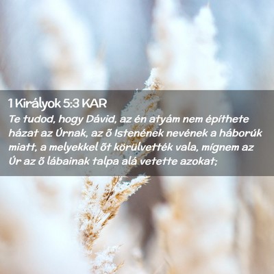 Picture 02 - 1 Királyok 5:3 KAR - Te tudod, hogy Dávid, az én atyám nem - Bible Verse Picture