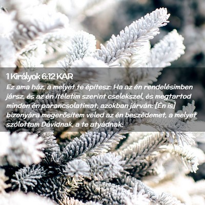 Picture 02 - 1 Királyok 6:12 KAR - Ez ama ház, a melyet te építesz: Ha az én - Bible Verse Picture