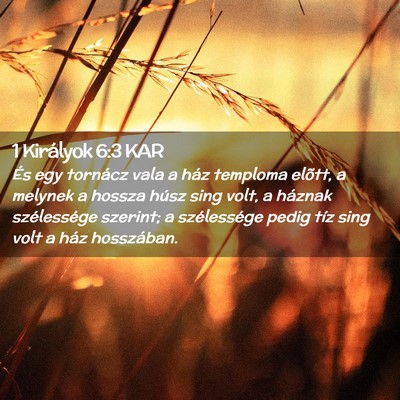 Picture 02 - 1 Királyok 6:3 KAR - És egy tornácz vala a ház temploma elõtt, a - Bible Verse Picture