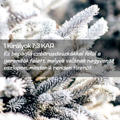 Picture 02 - 1 Királyok 7:3 KAR - És bepadlá czédrusdeszkákkal felül a - Bible Verse Picture