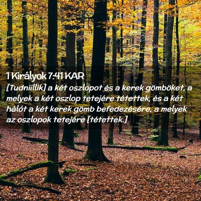 Picture 02 - 1 Királyok 7:41 KAR - [Tudniillik] a két oszlopot és a kerek - Bible Verse Picture