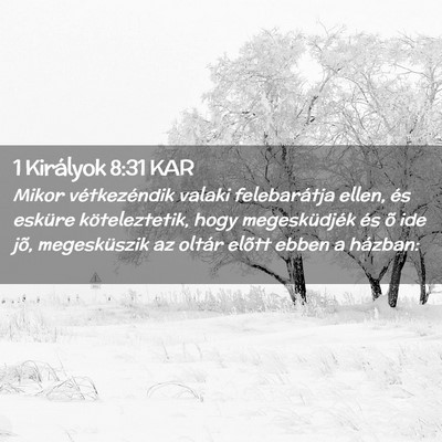Picture 02 - 1 Királyok 8:31 KAR - Mikor vétkezéndik valaki felebarátja ellen, - Bible Verse Picture