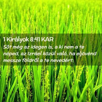 Picture 02 - 1 Királyok 8:41 KAR - Sõt még az idegen is, a ki nem a te néped, az - Bible Verse Picture