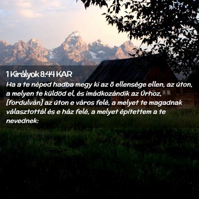 Picture 02 - 1 Királyok 8:44 KAR - Ha a te néped hadba megy ki az õ ellensége - Bible Verse Picture