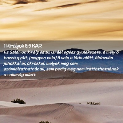 Picture 02 - 1 Királyok 8:5 KAR - És Salamon király és az Izráel egész - Bible Verse Picture
