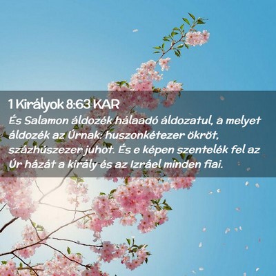 Picture 02 - 1 Királyok 8:63 KAR - És Salamon áldozék hálaadó áldozatul, a - Bible Verse Picture