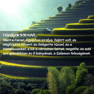 Picture 02 - 1 Királyok 9:16 KAR - Mert a Faraó, Égyiptom királya, feljött volt, - Bible Verse Picture