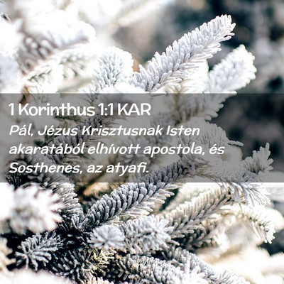Picture 02 - 1 Korinthus 1:1 KAR - Pál, Jézus Krisztusnak Isten akaratából - Bible Verse Picture
