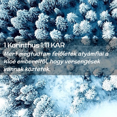 Picture 02 - 1 Korinthus 1:11 KAR - Mert megtudtam felõletek atyámfiai a Kloé - Bible Verse Picture