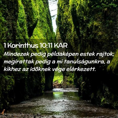 Picture 02 - 1 Korinthus 10:11 KAR - Mindezek pedig példaképen estek rajtok; - Bible Verse Picture