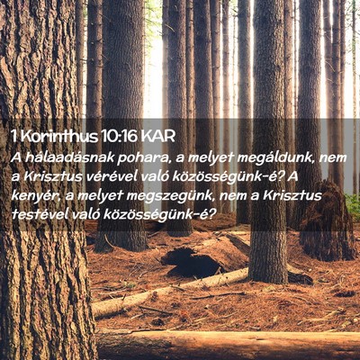 Picture 02 - 1 Korinthus 10:16 KAR - A hálaadásnak pohara, a melyet megáldunk, nem - Bible Verse Picture