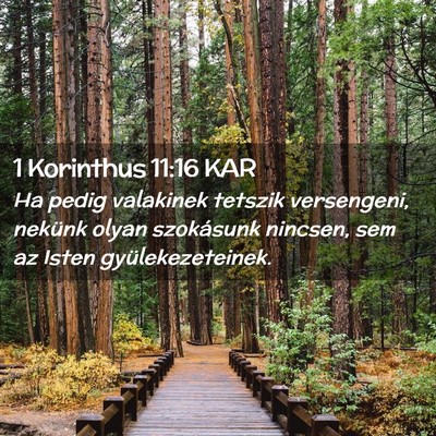 Picture 02 - 1 Korinthus 11:16 KAR - Ha pedig valakinek tetszik versengeni, nekünk - Bible Verse Picture