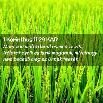 Picture 02 - 1 Korinthus 11:29 KAR - Mert a ki méltatlanul eszik és iszik, - Bible Verse Picture