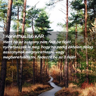 Picture 02 - 1 Korinthus 11:6 KAR - Mert ha az asszony nem fedi be fejét, - Bible Verse Picture