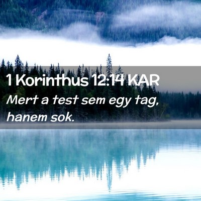 Picture 02 - 1 Korinthus 12:14 KAR - Mert a test sem egy tag, hanem - Bible Verse Picture