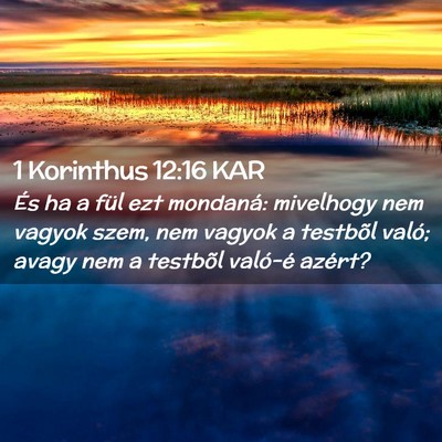 Picture 02 - 1 Korinthus 12:16 KAR - És ha a fül ezt mondaná: mivelhogy nem vagyok - Bible Verse Picture