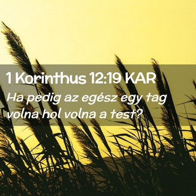 Picture 02 - 1 Korinthus 12:19 KAR - Ha pedig az egész egy tag volna hol volna a - Bible Verse Picture