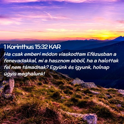 Picture 02 - 1 Korinthus 15:32 KAR - Ha csak emberi módon viaskodtam Efézusban a - Bible Verse Picture