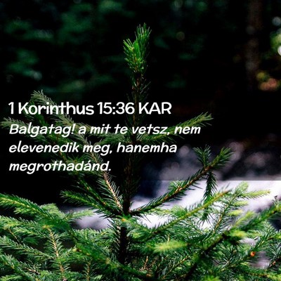 Picture 02 - 1 Korinthus 15:36 KAR - Balgatag! a mit te vetsz, nem elevenedik meg, - Bible Verse Picture