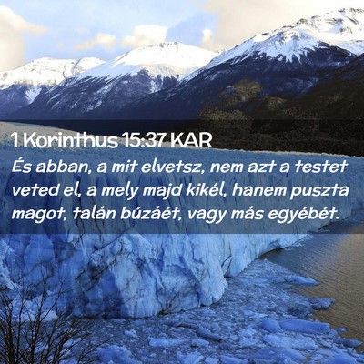Picture 02 - 1 Korinthus 15:37 KAR - És abban, a mit elvetsz, nem azt a testet veted - Bible Verse Picture