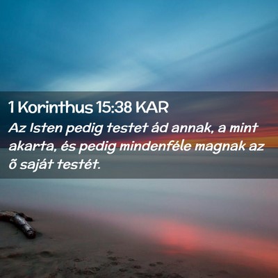 Picture 02 - 1 Korinthus 15:38 KAR - Az Isten pedig testet ád annak, a mint akarta, - Bible Verse Picture