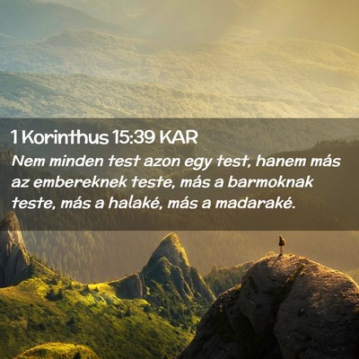 Picture 02 - 1 Korinthus 15:39 KAR - Nem minden test azon egy test, hanem más az - Bible Verse Picture