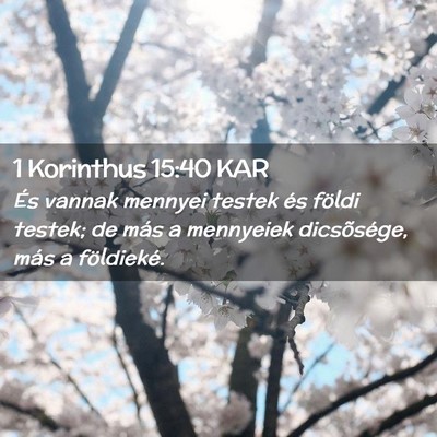 Picture 02 - 1 Korinthus 15:40 KAR - És vannak mennyei testek és földi testek; de - Bible Verse Picture