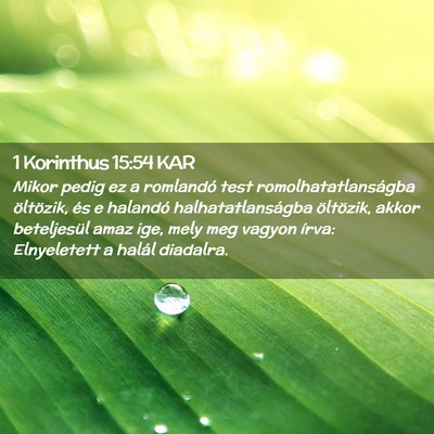 Picture 02 - 1 Korinthus 15:54 KAR - Mikor pedig ez a romlandó test - Bible Verse Picture