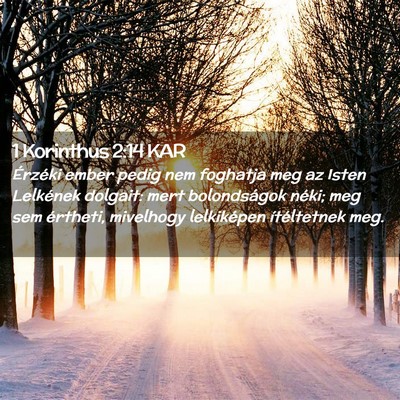 Picture 02 - 1 Korinthus 2:14 KAR - Érzéki ember pedig nem foghatja meg az Isten - Bible Verse Picture
