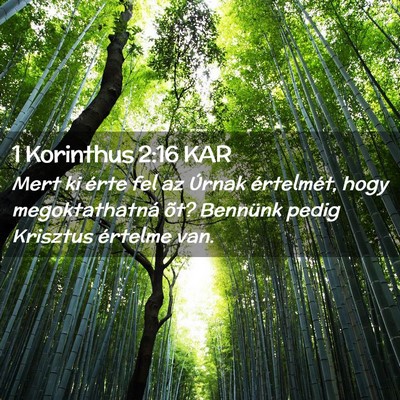 Picture 02 - 1 Korinthus 2:16 KAR - Mert ki érte fel az Úrnak értelmét, hogy - Bible Verse Picture