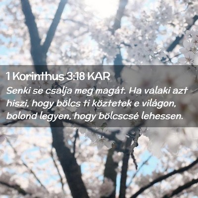 Picture 02 - 1 Korinthus 3:18 KAR - Senki se csalja meg magát. Ha valaki azt hiszi, - Bible Verse Picture