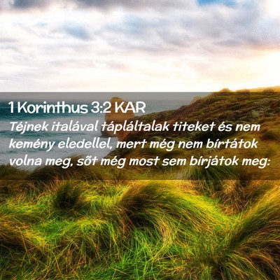 Picture 02 - 1 Korinthus 3:2 KAR - Téjnek italával tápláltalak titeket és nem - Bible Verse Picture