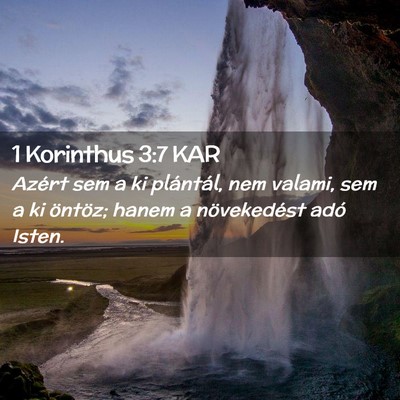 Picture 02 - 1 Korinthus 3:7 KAR - Azért sem a ki plántál, nem valami, sem a ki - Bible Verse Picture