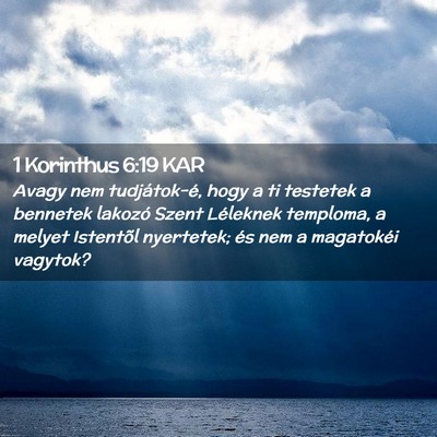 Picture 02 - 1 Korinthus 6:19 KAR - Avagy nem tudjátok-é, hogy a ti testetek a - Bible Verse Picture
