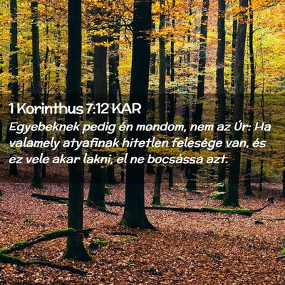 Picture 02 - 1 Korinthus 7:12 KAR - Egyebeknek pedig én mondom, nem az Úr: Ha - Bible Verse Picture