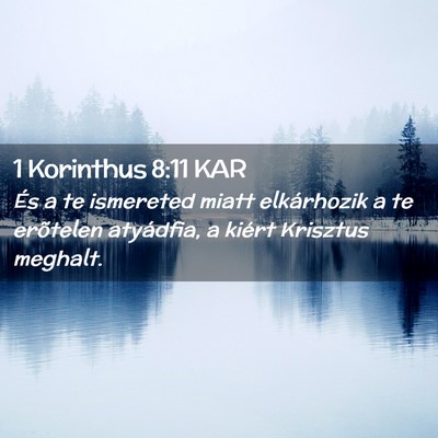 Picture 02 - 1 Korinthus 8:11 KAR - És a te ismereted miatt elkárhozik a te - Bible Verse Picture