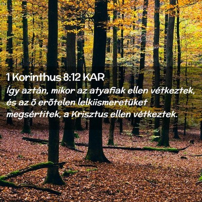 Picture 02 - 1 Korinthus 8:12 KAR - Így aztán, mikor az atyafiak ellen vétkeztek, - Bible Verse Picture