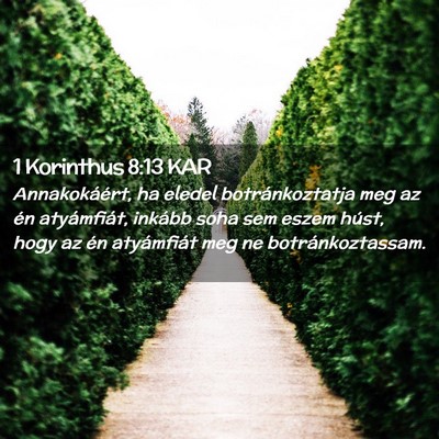 Picture 02 - 1 Korinthus 8:13 KAR - Annakokáért, ha eledel botránkoztatja meg az - Bible Verse Picture