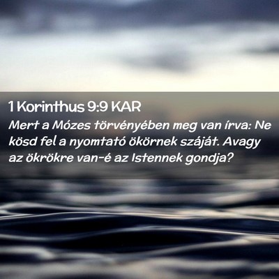 Picture 02 - 1 Korinthus 9:9 KAR - Mert a Mózes törvényében meg van írva: Ne - Bible Verse Picture